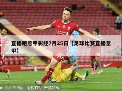 直播吧意甲彩经7月25日【足球比赛直播意甲】