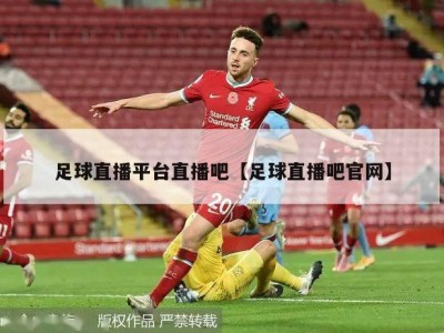 足球直播平台直播吧【足球直播吧官网】